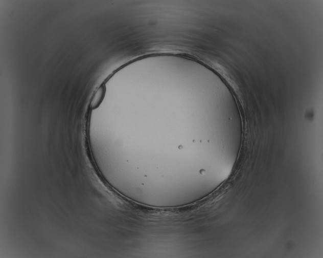 X0000090961187200708241145