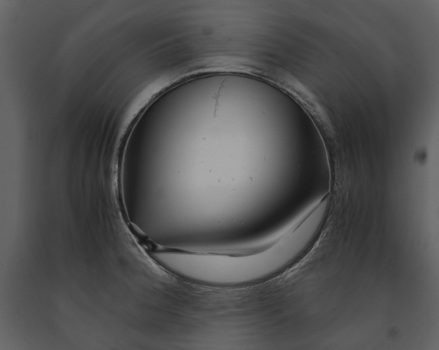 X0000090961188200708241145