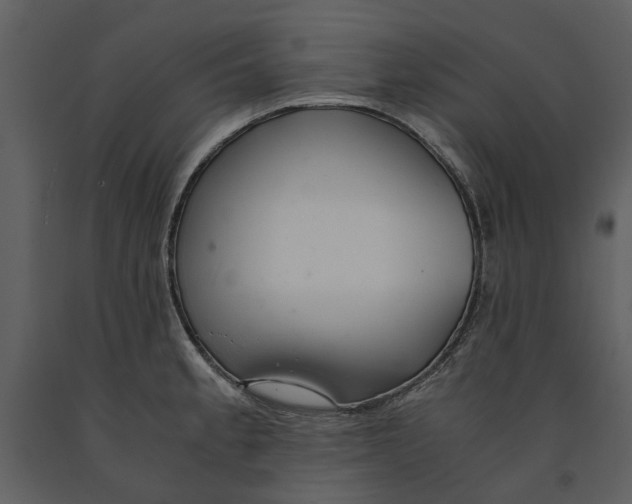 X0000090961189200708241145