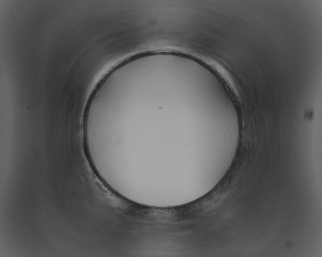 X0000090961191200708241145