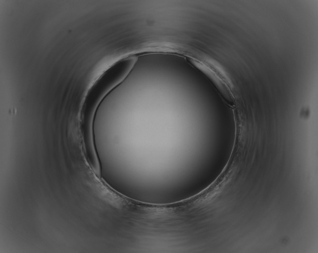X0000090961192200708241145