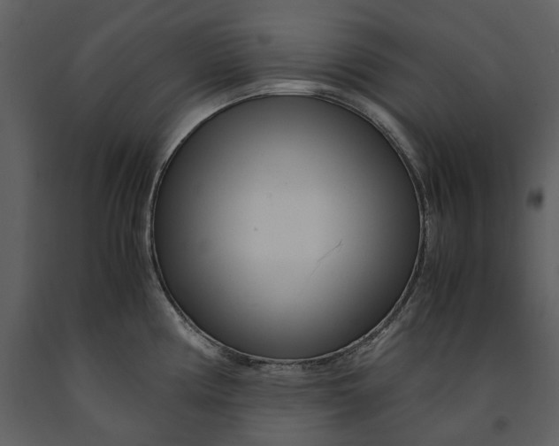X0000090961194200708241145