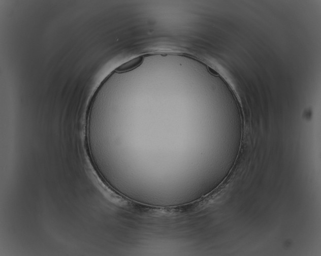 X0000090961195200708241145