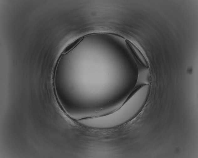X0000090961197200708241145
