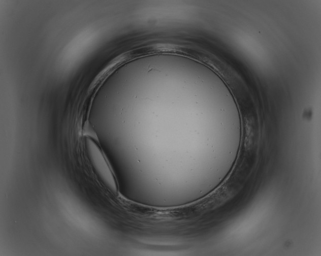 X0000090961198200708241145
