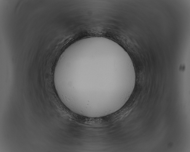 X0000090961201200708241145