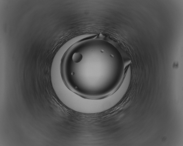 X0000090961202200708241145
