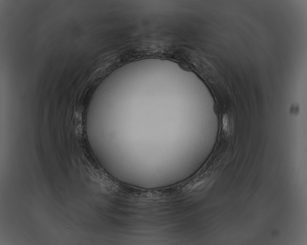 X0000090961203200708241145