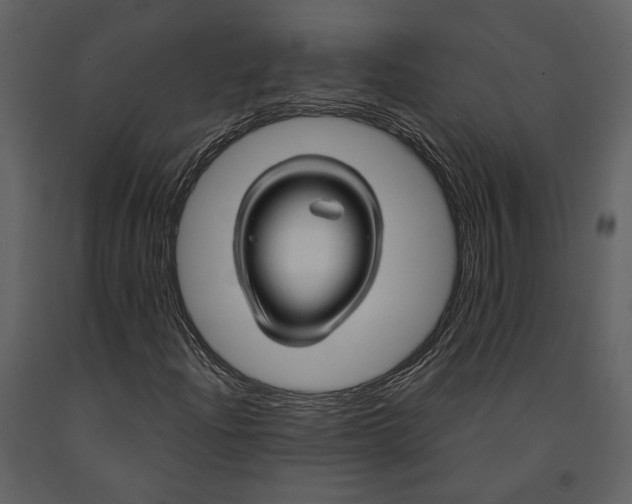 X0000090961204200708241145