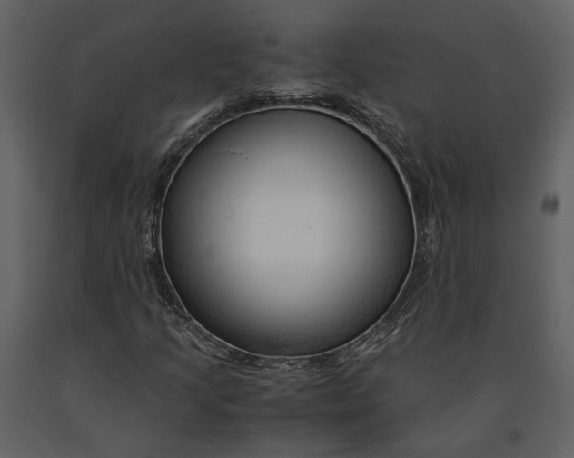 X0000090961205200708241145