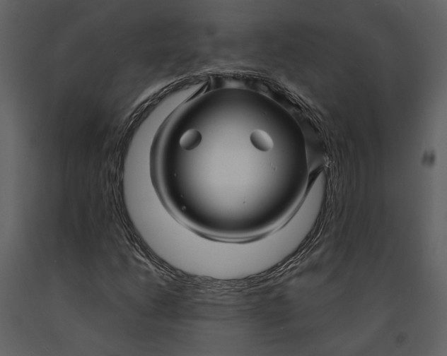 X0000090961206200708241145