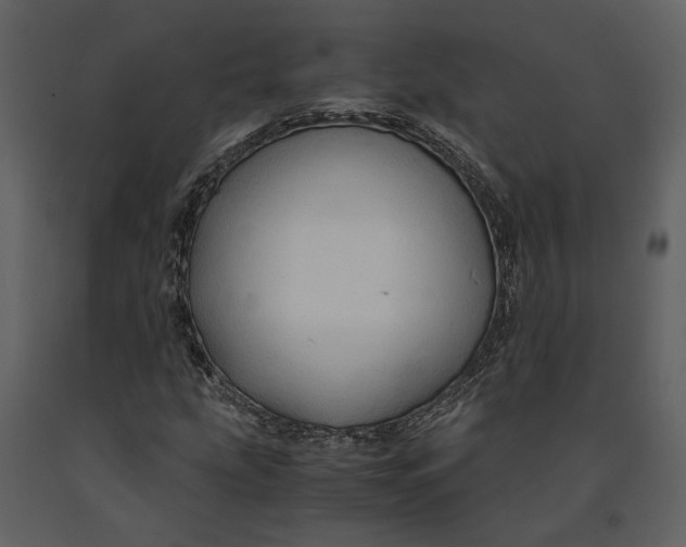 X0000090961207200708241145