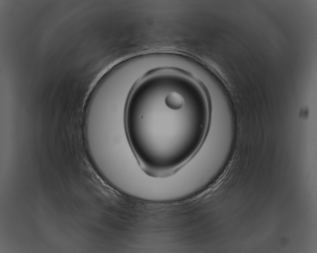 X0000090961212200708241145