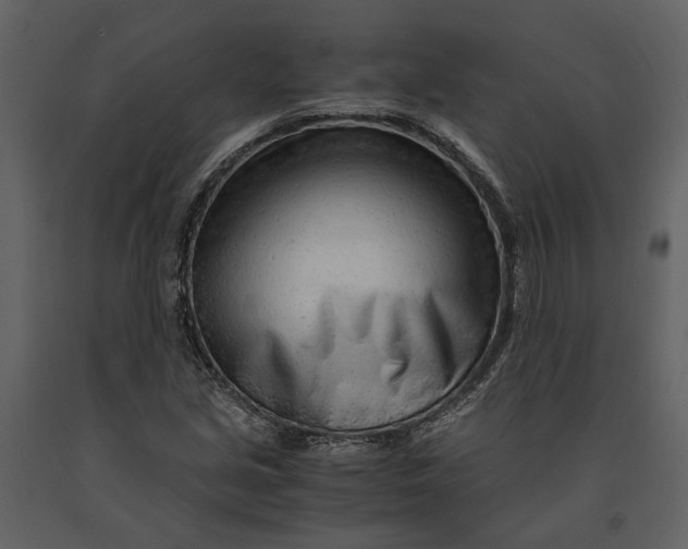 X0000090961213200708241145