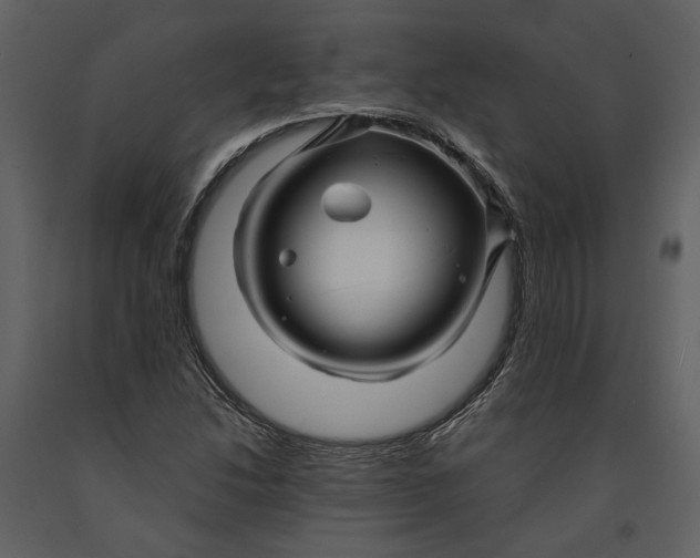 X0000090961214200708241145