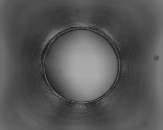 X0000090961215200708241145