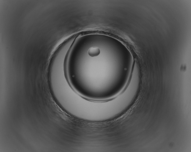 X0000090961216200708241145