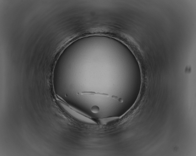 X0000090961217200708241145
