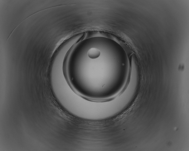X0000090961218200708241145
