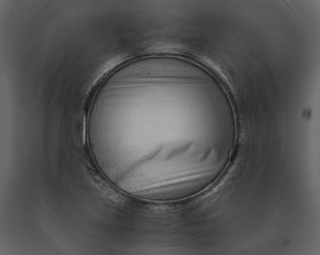 X0000090961219200708241145