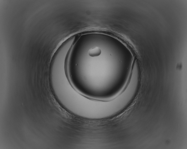 X0000090961220200708241145