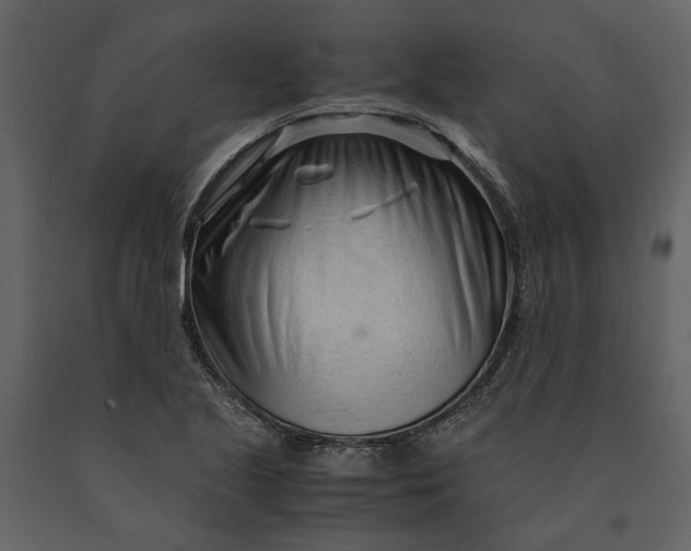 X0000090961221200708241145