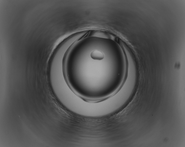 X0000090961222200708241145