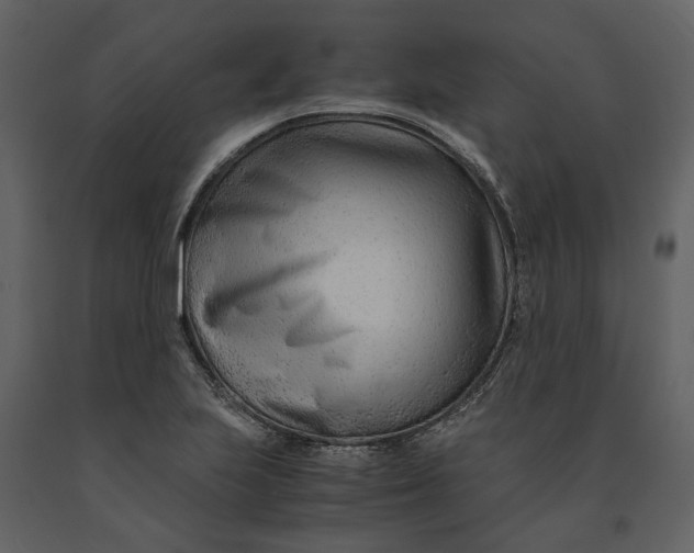 X0000090961223200708241145