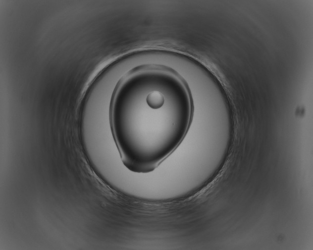 X0000090961224200708241145