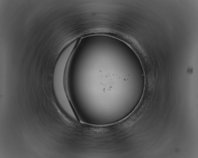 X0000090961225200708241145