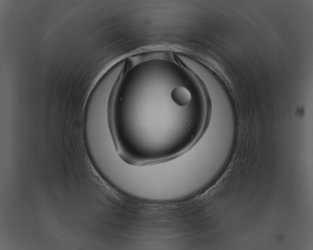 X0000090961228200708241145