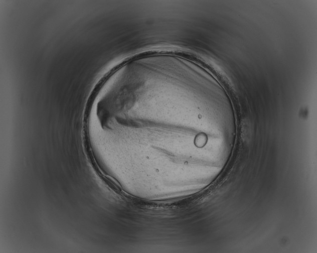 X0000090961229200708241145