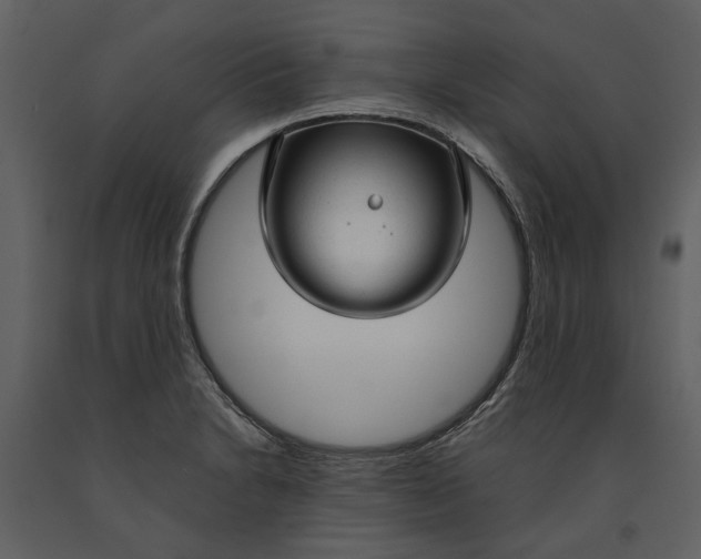 X0000090961230200708241145