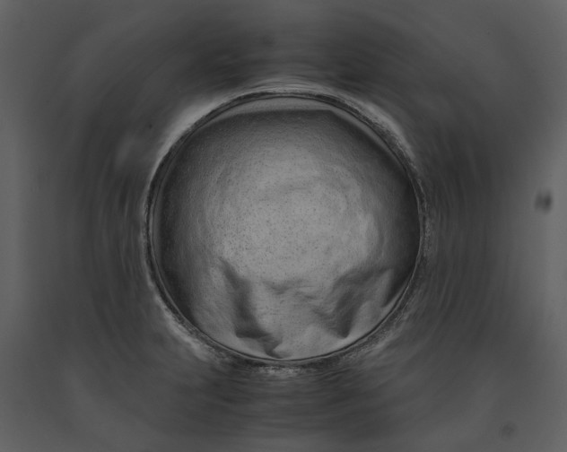 X0000090961231200708241145