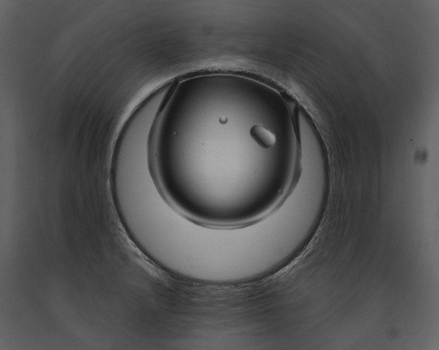 X0000090961232200708241145