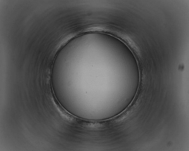 X0000090961233200708241145
