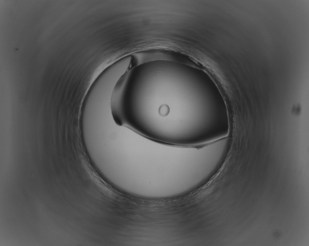 X0000090961234200708241145