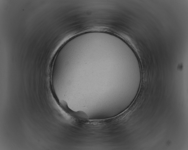 X0000090961235200708241145