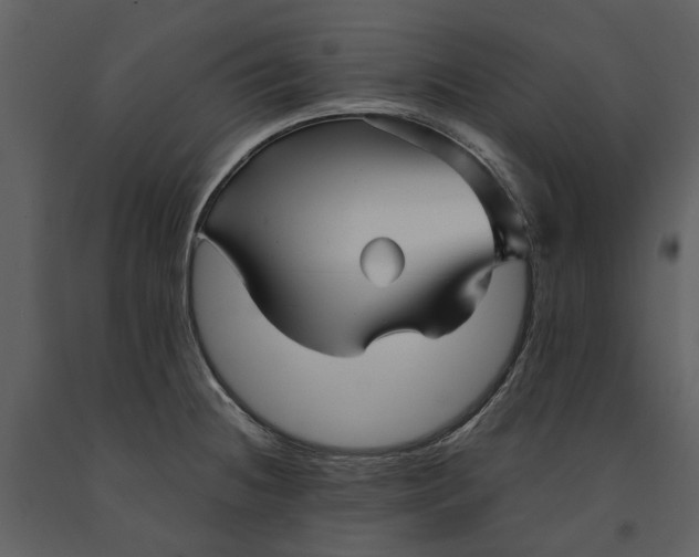 X0000090961236200708241145