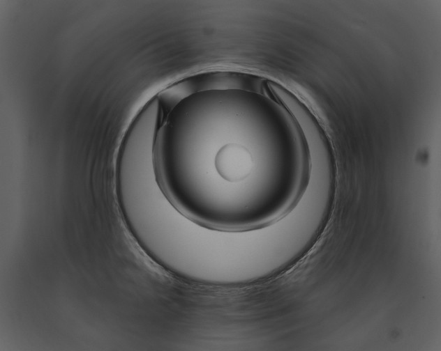 X0000090961238200708241145