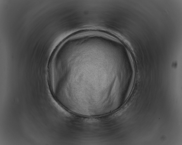 X0000090961239200708241145