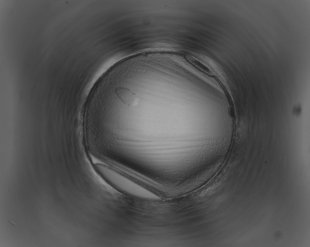 X0000090961243200708241145
