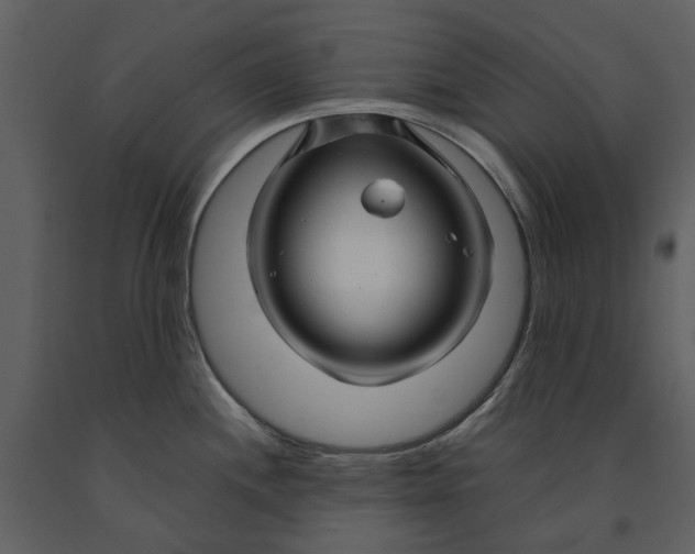 X0000090961244200708241145