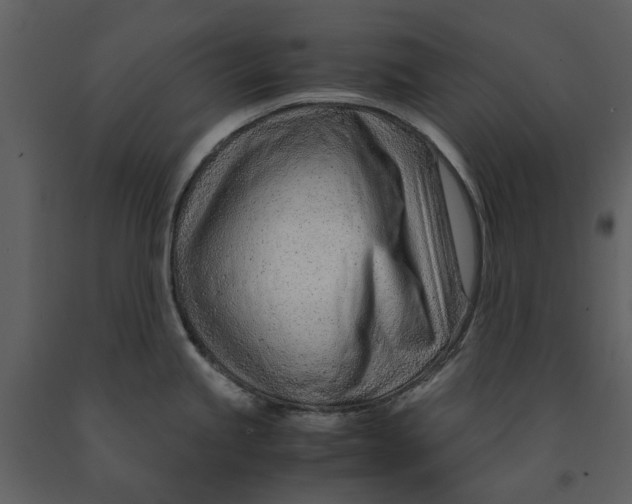 X0000090961245200708241145