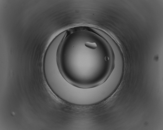 X0000090961246200708241145