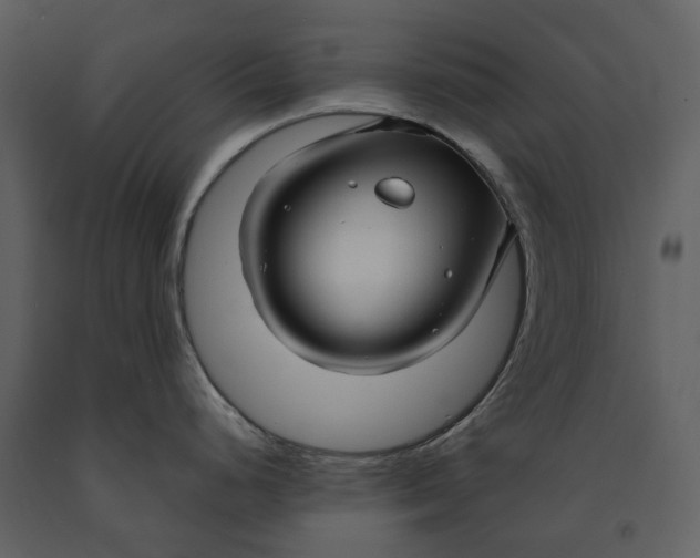 X0000090961248200708241145