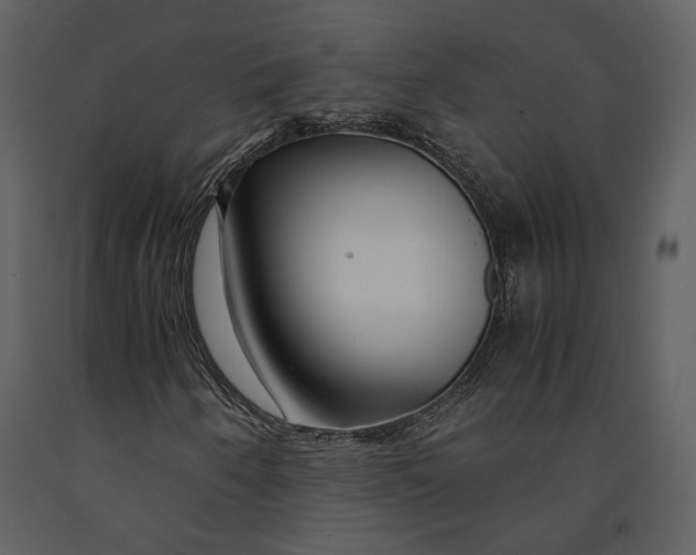 X0000090961250200708241145