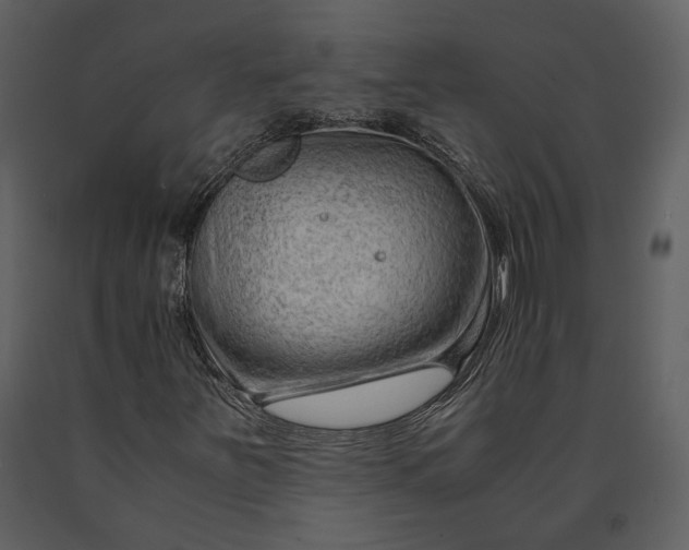 X0000090961251200708241145