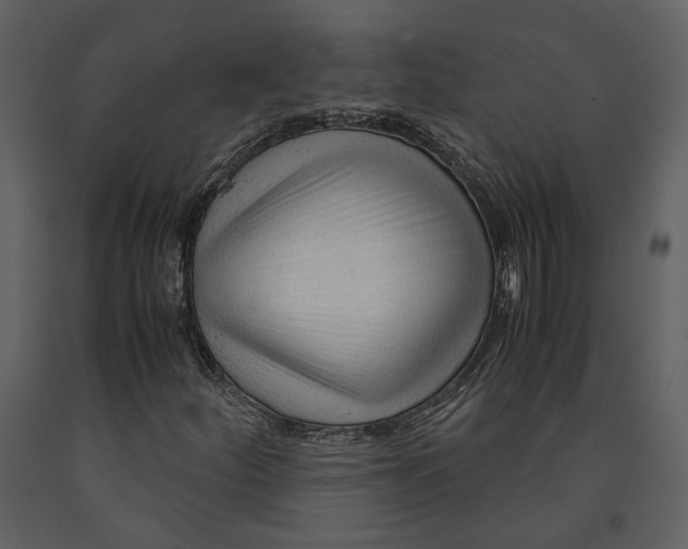X0000090961252200708241145