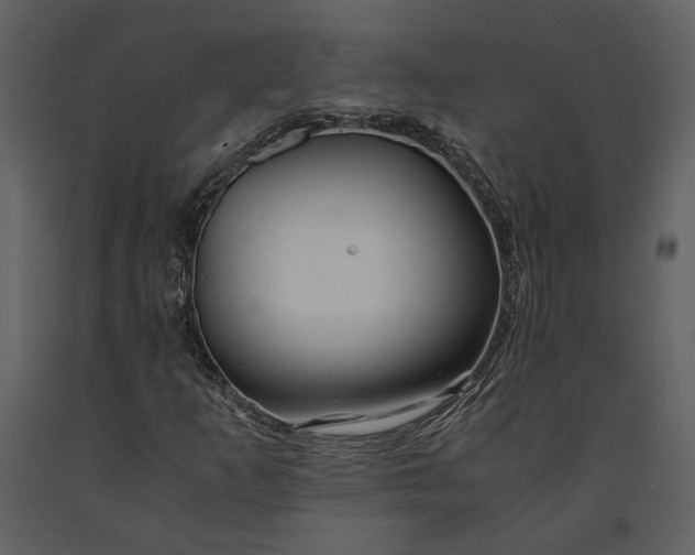 X0000090961253200708241145